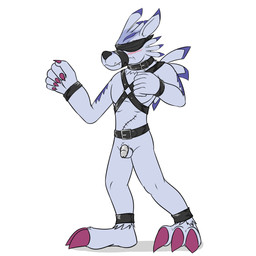 anthro armcuff balls bdsm belt belt_buckle black_harness blindfold blush bondage bound buckle chastity_cage chastity_device claws genitals harness humiliation legcuff male muzzle_(object) nude penis purple_claws simple_background solo teeth_showing white_background fuze bandai_namco digimon digimon_(species) weregarurumon 1:1 hi_res