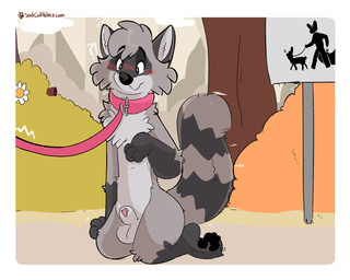 animal_genitalia anthro balls blush collar exhibitionism flower genitals interrobang kneeling leash male nude park pawpads penis penis_tip plant sheath shy sign sky solo text toony tree conditional_dnp sadcat16hrz artemis_raccoon mammal procyonid raccoon 5:4 url