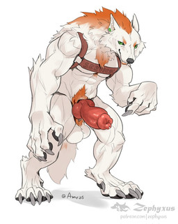 anatomically_correct anatomically_correct_genitalia animal_genitalia animal_penis anthro balls canine_genitalia canine_penis erection fur genitals harness knot looking_at_viewer male male_anthro nude_anthro nude_male penis service_top service_top_harness simple_background solo tail white_background white_body white_fur zephyxus mythology amras_(amras) arctic_wolf canid canine canis mammal mythological_canine mythological_creature werecanid werecanine werecreature werewolf wolf