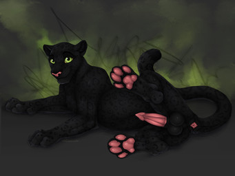 animal_genitalia animal_penis anus balls black_body black_fur erection feline_genitalia feline_penis feral fur genitals green_eyes male markings melanistic pawpads paws penis simple_background smile solo spots spotted_body spotted_fur xxcougarxx jumwo felid leopard mammal pantherine 2021 4:3 digital_media_(artwork)