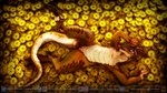 16:9 3d_(artwork) anthro claws coin digital_media_(artwork) female flat_chested genitals gold_(metal) hi_res horn janner3d kobold long_tongue looking_at_viewer pussy rizzik scalie solo spread_legs spreading thick_thighs toe_claws tongue widescreen
