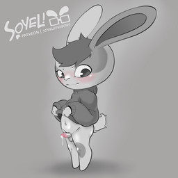 anthro balls bodily_fluids bottomless clothed clothing clothing_lift femboy genital_fluids genitals male penis precum shy small_balls small_penis solo sweater sweater_only topwear topwear_only soyeleyevrows lagomorph leporid mammal rabbit