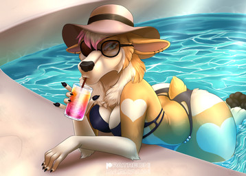 4_toes 5_fingers anthro beverage black_nose blue_eyes breasts butt chest_tuft claws clothed clothing container cup drinking drinking_straw ear_piercing ear_ring eyelashes eyewear feet female fingers fur hair hat headgear headwear heart_(marking) heart_symbol holding_beverage holding_object looking_at_viewer markings outside partially_submerged pawpads piercing poolside ring_piercing solo sunglasses swimming_pool swimwear tan_body tan_fur toes topwear tuft water wet white_body yoko_darkpaw cinnamon_(yoko_darkpaw) canid canine canis domestic_dog herding_dog mammal pastoral_dog welsh_corgi absurd_res digital_media_(artwork) hi_res