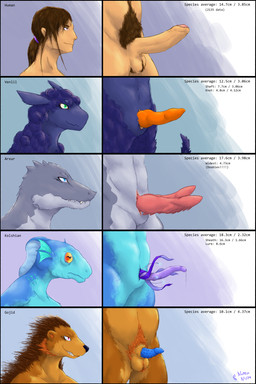 2_penises accessory animal_genitalia animal_penis anthro balls black_nose blue_eyes blue_penis bodily_fluids brown_body brown_fur brown_quills chart comparing comparing_penis dripping erection fin foreskin fur genital_fluids genitals glowing glowing_genitalia grey_body grey_scales group hair hair_accessory hemipenes horizontal_pupils humanoid_genitalia humanoid_penis knot knotted_penis male measurements multi_genitalia multi_penis orange_penis penile_spines penis penis_chart penis_size_comparison penis_size_difference precum precum_drip pubes pupils purple_penis quills_(anatomy) scales sharp_teeth sheath simple_background smile spiked_penis spikes spikes_(anatomy) teeth text unusual_anatomy unusual_genitalia unusual_penis natashi penis_lineup the_nature_of_predators alien amphibian arxur_(the_nature_of_predators) gojid_(the_nature_of_predators) human humanoid kolshian_(the_nature_of_predators) mammal reptile scalie venlil_(the_nature_of_predators) 2:3 absurd_res digital_media_(artwork) english_text hi_res