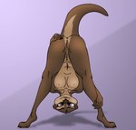 anthro anus breasts brown_body brown_fur butt countershading female fur genitals looking_at_viewer nipples nude presenting purple_eyes pussy raised_tail small_breasts smile solo stretching tail dizzyvixen juniper_(dizzyvixen) mammal mustelid otter