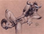balls blotch gnu male penis solo tagme wildebeest
Rating: Explicit
Score: 2
User: Vinea
Date: March 07, 2014