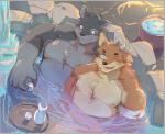 anthro bathing belly blush duo humanoid_hands kemono male moobs nipples overweight overweight_male sitting water iwano.kal_(artist) canid canine mammal 2019