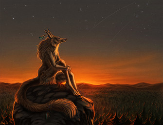 ambiguous_gender anthro biped detailed_background forest fur long_tail mountain nature nude outside plant sitting sky solo star starry_sky sunset tail tree maquenda canid canine mammal 2014