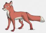 black_nose dipstick_tail feral fur green_eyes leg_markings looking_back male markings multicolored_body multicolored_fur multicolored_tail simple_background socks_(marking) solo tail tail_markings two_tone_tail white_background tuke canid canine fox mammal 2015 digital_media_(artwork) guide_lines sketch