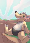 anthro bottomwear clothed clothing feet hair looking_at_viewer male smile solo speedo swimwear tail teeth topless underwear cyndybell armadillo mammal xenarthran hi_res