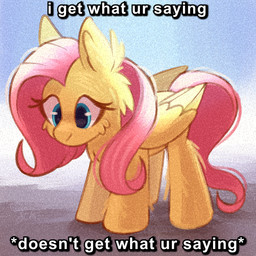 blue_eyes caption female feral fur hair pink_hair pink_tail solo tail text wings yellow_body yellow_fur candy_meow friendship_is_magic hasbro my_little_pony mythology fluttershy_(mlp) equid equine mammal mythological_creature mythological_equine pegasus 1:1 english_text meme
