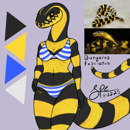 5_fingers abs anthro big_tail bikini black_body black_scales breasts claws cleavage clothed clothing color_swatch eyelashes facial_markings female female_anthro finger_claws fingers front_view hand_on_hip head_markings humanoid_hands long_neck long_tail looking_at_viewer markings medium_breasts multicolored_body multicolored_scales navel non-mammal_breasts pattern_bikini pattern_clothing pattern_swimwear scale_markings scales simple_background snout solo standing striped_bikini striped_body striped_clothing striped_scales striped_swimwear stripes swimwear tail tapering_tail text thick_tail thick_thighs thigh_gap two-piece_swimsuit two_tone_bikini two_tone_body two_tone_scales ventral_scales wide_hips yellow_body yellow_claws yellow_eyes yellow_scales spe banded_krait elapid_(snake) krait reptile scalie snake 1:1 2025 dated digital_drawing_(artwork) digital_media_(artwork) hi_res portrait procreate_(artwork) reference_image signature species_name three-quarter_portrait