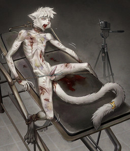 5_fingers abuse accessory animal_genitalia animal_penis anthro arms_tied asphyxiation balls biped black_markings blood bodily_fluids bound camera cheek_tuft claws cock_and_ball_torture collarbone crying digitigrade emaciated erection facial_tuft fingers front_view frown fully_bound furgonomics genital_torture genitals gore gore_focus head_tuft immobilization jewelry leg_markings legs_tied lying male markings motion_lines nipples nude on_back open_mouth pain penis pink_nose ribs ring rope skinny skinny_anthro skinny_male snout socks_(marking) solo starvation submissive submissive_male tail tail_accessory tail_jewelry tail_ring tears teeth tied_to_bed toe_claws tongue torture tuft white_body wishbone_mouth wounded frank-79 alexis_(hacken) domestic_cat felid feline felis mammal 2022 hi_res