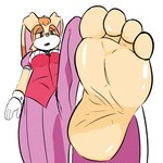 4_toes anthro barefoot feet female floppy_ears foot_fetish foot_focus humanoid_feet looming looming_foot lop_ears low-angle_view plantigrade simple_background soles solo stomping toes white_background worm's-eye_view custard_killer sega sonic_the_hedgehog_(series) vanilla_the_rabbit lagomorph leporid mammal rabbit 1:1 2023 hi_res