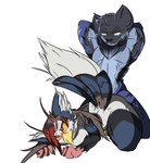 absurd_res anthro avian bird blaziken blue_body blue_feathers blue_fur breast_squish breasts corviknight doggystyle duo feathers felid female from_behind_position fur generation_3_pokemon generation_4_pokemon generation_8_pokemon hair hands_behind_back hi_res hybrid lance_(huf13) male male/female mammal nintendo orange_eyes orange_sclera pantherine pecs pokemon pokemon_(species) red_hair renae_(huf13) sex spicy_flakes squish staraptor tail tail_feathers tiger
