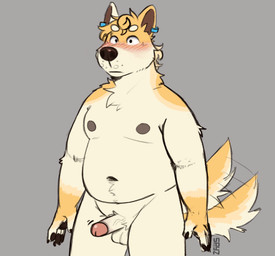 5_fingers anthro aroused balls belly blush body_hair circle_eyebrows erection eyebrows fingers fur genitals glans handpaw happy_trail humanoid_genitalia male moobs navel nipples nude overweight paws penis piercing simple_background solo standing tail tail_motion tailwag white_body white_fur yellow_body yellow_fur spyz_(artist) suli_(cactiaficionado) can_de_palleiro canid canine mammal 2025 digital_drawing_(artwork) digital_media_(artwork) flat_colors