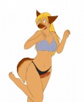 alt-b-shephelie anthro blonde_hair breath canid canine canis clothing diva_(artist) domestic_dog female food food_fetish food_play hair hi_res mammal meat nightgown open_mouth panties panting running sausage solo underwear what