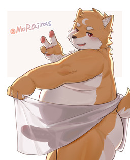 anthro balls_outline bodily_fluids border bulge cheeky detailed_bulge erection fangs fur genital_outline gesture hand_gesture holding_object holding_towel looking_at_viewer male nude_male open_mouth orange_body orange_fur overweight overweight_male penis_outline side_view solo sweat tail teeth tongue towel v_sign white_body white_border white_fur morain_xs canid canine canis domestic_dog mammal 2026 chinese_description hi_res