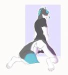 anthro balls biped black_body black_fur blue_body blue_eyes blue_fur blush clothing fur genitals hair kneeling looking_at_viewer looking_back looking_back_at_viewer male shirt shy simple_background solo teasing topwear white_body white_fur boblios canid canine canis domestic_dog mammal 2017 hi_res