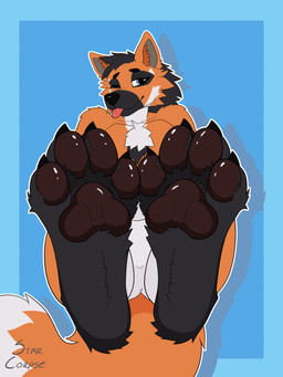 anthro black_body black_fur blue_eyes fur male orange_body orange_fur pawpads paws solo star_corpse tail white_body white_fur claude_vernaire canid canine mammal maned_wolf absurd_res hi_res