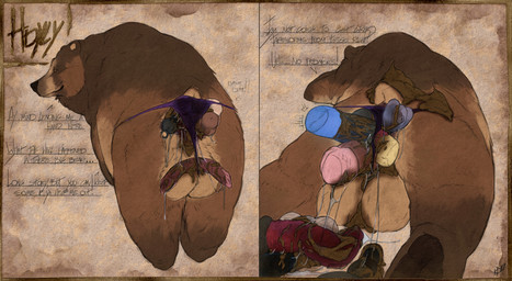5_toes anal anal_beads anal_beads_in_ass anal_fisting anal_penetration anal_storage animal_dildo animal_genitalia animal_sex_toy anus arm_markings backsack balls bat_dildo bear_ears belly big_balls big_dildo brown_arms brown_body brown_claws brown_ears brown_feet brown_fur brown_legs brown_mane brown_pawpads brown_paws brown_tail butt canine_dildo cavity_storage cetacean_dildo cheek_markings claws clothed clothing coprophilic_intercourse deep_anal_penetration deep_penetration dialogue dildo dildo_in_ass dildo_insertion dirty dirty_anal dirty_anus dirty_clothing dirty_fisting dirty_panties dirty_underwear disembodied_hand double_dildo excessive_feces extreme_penetration facial_markings feces feces_covered feces_in_ass feces_on_anus feces_on_arm feces_on_ass feces_on_back feces_on_balls feces_on_body feces_on_butt feces_on_clothing feces_on_dildo feces_on_fur feces_on_genitals feces_on_ground feces_on_hand feces_on_self feces_on_sex_toy feces_on_tail feces_pile feet feral feral_lingerie feral_penetrated finger_claws fist fisting fur fur_markings genitals hair head_markings kangaroo_dildo knot knotted_dildo knotted_sex_toy large_penetration leaking_feces leaking_lube lingerie lingerie_malfunction lingerie_on_feral lingerie_only lingerie_panties logo looking_at_viewer looking_back lube lube_drip lube_from_ass lube_in_ass lube_on_anal_beads lube_on_anus lube_on_balls lube_on_butt lube_on_dildo lube_on_ground lube_on_object lube_on_perineum lube_on_sex_toy lube_string lubed lubed_dildo lubed_sex_toy lying male male_feral male_fisted male_penetrated mane mane_hair markings monotone_balls monotone_feet monotone_genitals monotone_inner_ear monotone_markings mostly_nude multicolored_body multicolored_ears multicolored_fur multiple_insertions multiple_penetration multiple_toys muzzle_(marking) object_in_ass object_in_feces object_penetration on_front on_ground orange_eyes pawpads paws penetrating_with_multiple penetration perineum plantigrade purple_anus quadruped raised_tail rear_view red_anus scatplay sex_toy sex_toy_in_ass sex_toy_insertion sex_toy_pull_out short_ears short_fur short_tail simple_background small_ears small_tail snout snout_markings solo standing stretched_anus tail tan_balls tan_belly tan_body tan_ears tan_fur tan_markings tan_tail text textured_background thong three-quarter_view tight_clothing tight_fit tight_underwear toe_claws toes two_tone_anus two_tone_body two_tone_ears two_tone_fur two_tone_tail underwear underwear_only ursine_dildo ursine_ears hdyly third-party_edit kuruk_(character) bear brown_bear grizzly_bear mammal ursidae ursine 2025 absurd_res artist_logo artist_name digital_drawing_(artwork) digital_media_(artwork) english_text hi_res monochrome shaded signature sketch