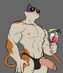 abs alcohol anthro barazoku bendy_straw beverage biceps big_muscles big_penis blush claws clothed clothing cocktail_garnish cocktail_umbrella container cup deltoids drinking_straw erection eyewear food fruit fur genitals glans grey_background holding_beverage holding_container holding_cup holding_object humanoid_genitalia humanoid_penis lemon lemon_wedge male muscular muscular_anthro muscular_male navel nipples pecs penis penis_poking_out plant simple_background smile solo speedo standing sunglasses swimwear thick_penis topless topless_anthro topless_male tuft ni_(artist) epic_games fortnite meowscles domestic_cat felid feline felis mammal 2024 absurd_res hi_res