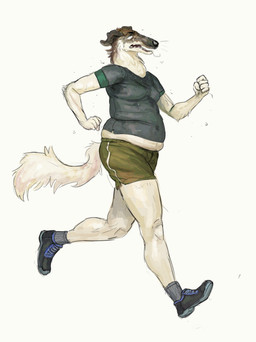 anthro bodily_fluids bottomwear clothed clothing exercise exercise_clothing footwear fur jogging male overweight overweight_anthro overweight_male running shirt shoes shorts simple_background socks solo sweat sweat_stain topwear white_background white_body white_fur cettus borzoi canid canine canis domestic_dog hunting_dog mammal sighthound 2020 hi_res