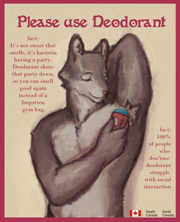 anthro armpit_hair body_hair border canada canadian_flag clothed clothing deodorant ears_up holding_object male male_anthro muscular muscular_anthro muscular_male poster red_border solo text topless topless_anthro topless_male reynard_goodfellow canid canine canis mammal wolf absurd_res english_text hi_res