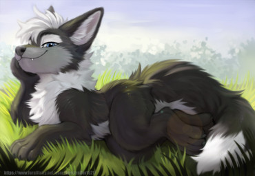 black_body black_claws black_nose black_pawpads blue_eyes canine_nose chest_tuft chin_rest claws cute_fangs dipstick_tail eye_reflection fangs feral glistening glistening_eyes grass grey_hair hair lens_flare looking_at_viewer lying male mane mane_hair markings neck_tuft on_grass on_ground on_side outside pawpads plant reflection semi-anthro simple_background smile smug smug_expression solo tail tail_markings teeth tuft spectralfox1521 nightdancer_(character) canid canine canis mammal wolf hi_res