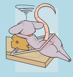 ambiguous_gender anthro cheese collar dairy_products emanata food frustration_cloud fur grey_body grey_fur mouse_trap paws solo trap_(contrivance) defunctumbra bramble_(amoderaterobo) mammal mouse murid murine rodent hi_res