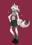 anthro biege_fur bottomwear breasts clothing ear_piercing female fishnet_clothing fluffy fluffy_ears fluffy_tail footwear hair looking_away midriff navel nipples panties piercing shoes shorts simple_background slim snout socks solo tail thin_calves thin_legs thin_thighs underwear fluffoo_eva teresa_(fluffoo_eva) canid canine mammal