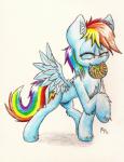 2013 blue_fur candy cutie_mark eating equine eyes_closed female feral friendship_is_magic fur hair lollipop mammal multi-colored_hair my_little_pony pegasus plain_background punk-pegasus rainbow_dash_(mlp) rainbow_hair smile solo traditional_media white_background wings
Rating: Safe
Score: 4
User: Falord
Date: December 22, 2013