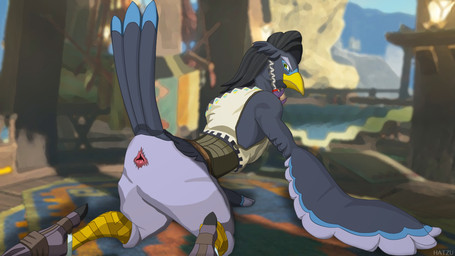 all_fours animal_genitalia armor avian_butt bangle beak belt black_hair blue_markings braided_hair cloaca clothing eyebrows feathers feet genitals grey_body grey_feathers hair jewelry looking_at_viewer looking_back male markings on_ground presenting presenting_cloaca raised_tail solo tail talons toes yellow_beak hatzu_(artist) breath_of_the_wild nintendo the_legend_of_zelda harth_(tloz) avian bird rito 16:9 hi_res widescreen