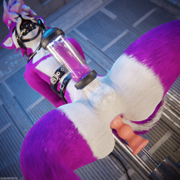 anal animal_genitalia animal_penis anthro anthro_on_anthro arms_tied ball_gag balls bdsm biped bodily_fluids bondage bound breeding_stand canine_genitalia canine_penis claws clothing cuffs_(clothing) cum cum_dripping_from_penis cum_on_penis depth_of_field erection feet forced forced_anal forced_orgasm fucking_machine fur gag gagged genital_fluids genitals hair hindpaw inside knot legs_tied machine male male_penetrated milking_cum milking_machine multicolored_body nude open_mouth orgasm paws penetration penis pink_body pink_fur pink_penis purple_penis reflection restraints slim slim_anthro slim_male slim_sub smile solo submissive submissive_male tail torture white_body white_fur dragonplayer lavi canid canine canis fox mammal rexouium 1:1 3d_(artwork) absurd_res blender_(artwork) blender_cycles_(artwork) digital_media_(artwork) hi_res