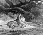 balls digitigrade feral genitals looking_away lying male mane nude on_front paws quadruped solo antoine-louis_barye license_info public_domain felid lion mammal pantherine 19th_century ancient_art formal_art greyscale monochrome painting_(artwork) traditional_media_(artwork) watercolor_(artwork)