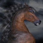 ambiguous_gender feral profile solo felicitydarkmare arabian_horse equid equine horse mammal 1:1 3d_(artwork) digital_media_(artwork) icon female_(lore)