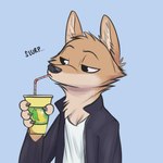 1:1 anthro black_nose blue_background brown_body brown_fur canid canine canis cheek_tuft clothed clothing comic container cup digital_media_(artwork) drinking facial_tuft fur head_tuft hi_res holding_container holding_cup holding_object juantriforce male mammal neck_tuft onomatopoeia ragey red_wolf simple_background slurping solo sound_effects straw_(disambiguation) text tuft wolf