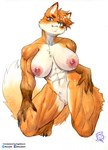 abs anthro areola big_breasts big_muscles blue_eyes breasts broad_shoulders claws crotch_tuft eyelashes facebook_logo female finger_claws fluffy fluffy_tail front_view fur genitals kneeling looking_at_viewer muscular muscular_anthro muscular_female nipples nude orange_body orange_fur pink_areola pink_nipples pussy simple_background smile smiling_at_viewer smirk smirking_at_viewer snout solo tail toe_claws tuft twitter_logo white_background murazaki twitter vela_(kagekitsoon) canid canine canis fox mammal absurd_res hi_res painting_(artwork) traditional_media_(artwork) watercolor_(artwork) watermark