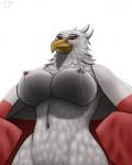 anthro areola beak big_breasts bodily_fluids breasts clothed clothing female flag lactating looking_at_viewer low-angle_view milk nipples non-mammal_breasts non-mammal_nipples partially_clothed pink_areola poland smile solo standing wearing_flag testowepiwko accipitrid accipitriform avian bird eagle 4:5 hi_res