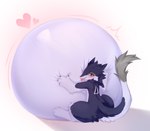 anthro belly belly_inflation blep blush hugging_belly inflated_belly inflation inflation_fetish male overinflated solo tongue tongue_out chibichuuwu sergal hi_res