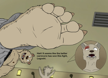 5_toes anthro barefoot belt blood bodily_fluids bottomwear brown_body brown_fur bruised claws clothed clothing cutaway dialogue duo evil_grin extreme_size_difference eye_scar facial_scar feet foot_fetish fur humanoid_feet inside larger_anthro larger_male looking_up looming looming_foot looming_over male micro nipples open_mouth pants pattern_bottomwear pattern_clothing pattern_pants plantigrade scar shaved_fur shower_room size_difference smaller_anthro smaller_male smile stomping striped_bottomwear striped_clothing striped_pants stripes teeth text toe_claws toes topless topless_male smellslikejavier beastars legoshi_(beastars) riz_(beastars) bear brown_bear canid canine canis mammal ursine wolf 11:8 2022 digital_drawing_(artwork) digital_media_(artwork) english_text hi_res