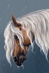 ambiguous_gender blue_eyes dripping_wet feral raining simple_background solo water julietterri maxym_(bloopertrooper) dolehest equid equine horse mammal bust_portrait headshot_portrait hi_res portrait male_(lore)