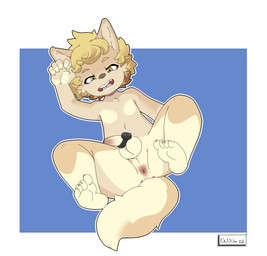 anthro anus balls blonde_hair blue_background border erection feet genitals hair half-closed_eyes looking_pleasured lying male narrowed_eyes nude_male on_back open_mouth penis sex_toy simple_background soles solo spread_legs spreading tail teeth tongue white_border yellow_eyes young young_anthro young_male nanuna cyberconnect2 fuga:_melodies_of_steel little_tail_bronx hack_montblanc canid canine caninu canis domestic_dog herding_dog mammal pastoral_dog welsh_corgi 2026
