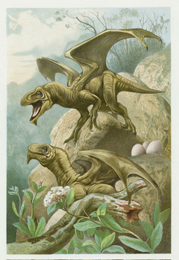 ambiguous_gender back_wings black_claws branch claws cloud day digitigrade duo egg feral green_body green_membrane leaf membrane_(anatomy) membranous_wings monotone_body mouth_closed open_mouth outside pink_tongue plant quadruped rock side_view snout spread_wings tail tongue tongue_showing tree wing_claws wings christopher_stoll dinosaur prehistoric_species reptile scalie 2023 digital_drawing_(artwork) digital_media_(artwork) full-length_portrait hi_res portrait