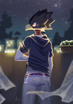 ambiguous_gender ambiguous_humanoid beak biped blurred_background butt city clothed clothed_ambiguous clothed_humanoid clothing curtains detailed_background flower for_a_head jockstrap narrowed_eyes night outside pantsless pantsless_ambiguous pantsless_humanoid plant rear_view sky solo standing star starry_sky topwear underwear vase bananana8729 my_hero_academia fumikage_tokoyami animal_head animal_humanoid avian avian_humanoid humanoid 2022 chinese_description dated digital_media_(artwork) hi_res signature male_(lore)