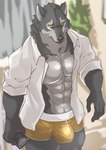abs anthro biped black_nose blurred_background bulge clothed clothed_anthro clothed_male clothing detailed_bulge electronics fingers fur glistening glistening_body grey_body grey_eyes grey_fur grey_inner_ear high-angle_view holding_object holding_phone inside looking_at_viewer male male_anthro monotone_body monotone_fur multicolored_clothing multicolored_underwear muscular muscular_anthro muscular_male open_clothing open_mouth open_shirt open_topwear orange_clothing orange_underwear pantsless pantsless_anthro pantsless_male pecs phone pointy_ears shirt solo tongue topwear underwear white_clothing white_shirt white_topwear white_underwear yellow_sclera kemonokoko canid canine mammal 2022 absurd_res digital_media_(artwork) hi_res