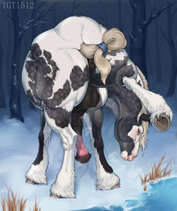 animal_genitalia animal_penis anus balls bedroom_eyes black_anus black_balls black_body black_fur black_penis black_sheath blonde_hair blue_eyes blush bodily_fluids bound butt dripping equine_anus equine_genitalia equine_penis erection feral forest fur genital_fluids genitals grass grey_body hair hooves ice long_hair looking_at_viewer male markings mottled mottled_body mottled_genitalia mottled_penis multicolored_body multicolored_fur muscular muscular_feral muscular_male narrowed_eyes open_mouth outside penis piebald piebald_body pink_nose pink_penis plant precum precum_drip precum_on_penis precum_string puffy_anus raised_leg seductive sheath smile snow solo spots spotted_body spotted_fur standing tail tail_tied tan_hooves tree two_tone_body two_tone_fur vein veiny_penis white_body white_fur white_hair white_tail winter conditional_dnp tgt1512 siberianstall clydesdale draft_horse equid equine horse mammal digital_media_(artwork) hi_res
