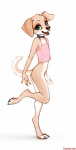 anthro biped blue_eyes bottomless camisole clothed clothing collar digitigrade feet female flat_chested fur hindpaw looking_at_viewer on_one_leg open_mouth paws pink_camisole simple_background slim smile solo spaghetti_strap standing white_background young coonkun cynthia_(zaush) canid canine canis domestic_dog mammal 2016