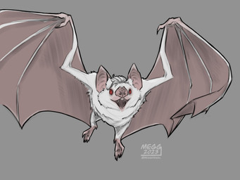 fangs feral feralized flying fur male red_eyes solo teeth white_body white_fur wings meggdrasil baldur's_gate baldur's_gate_3 bioware electronic_arts larian_studios astarion_(baldur's_gate) batstarion bat leaf-nosed_bat mammal microbat vampire_bat yangochiropteran 4:3 hi_res