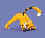 absurd_res anthro ass_up blush butt challenge challenge_accepted domestic_cat felid feline felis flirting fur green_eyes hi_res katxfish katxlogan looking_at_viewer male mammal meme nude orange_body orange_fur raised_tail solo stretching stretching_legs tail tattoo tongue tongue_out